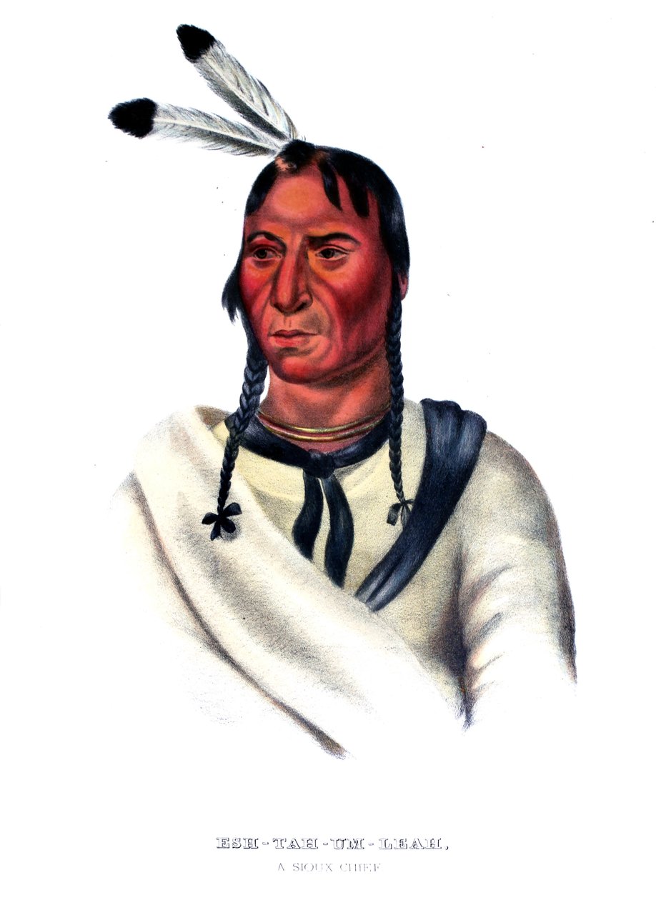 Eshtahumbah (Ojos Dormidos), un jefe Sioux de Charles Bird King