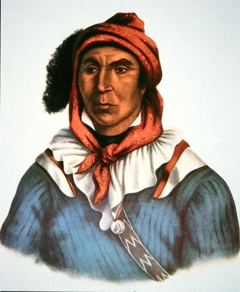 Julcee Mathla de Charles Bird King
