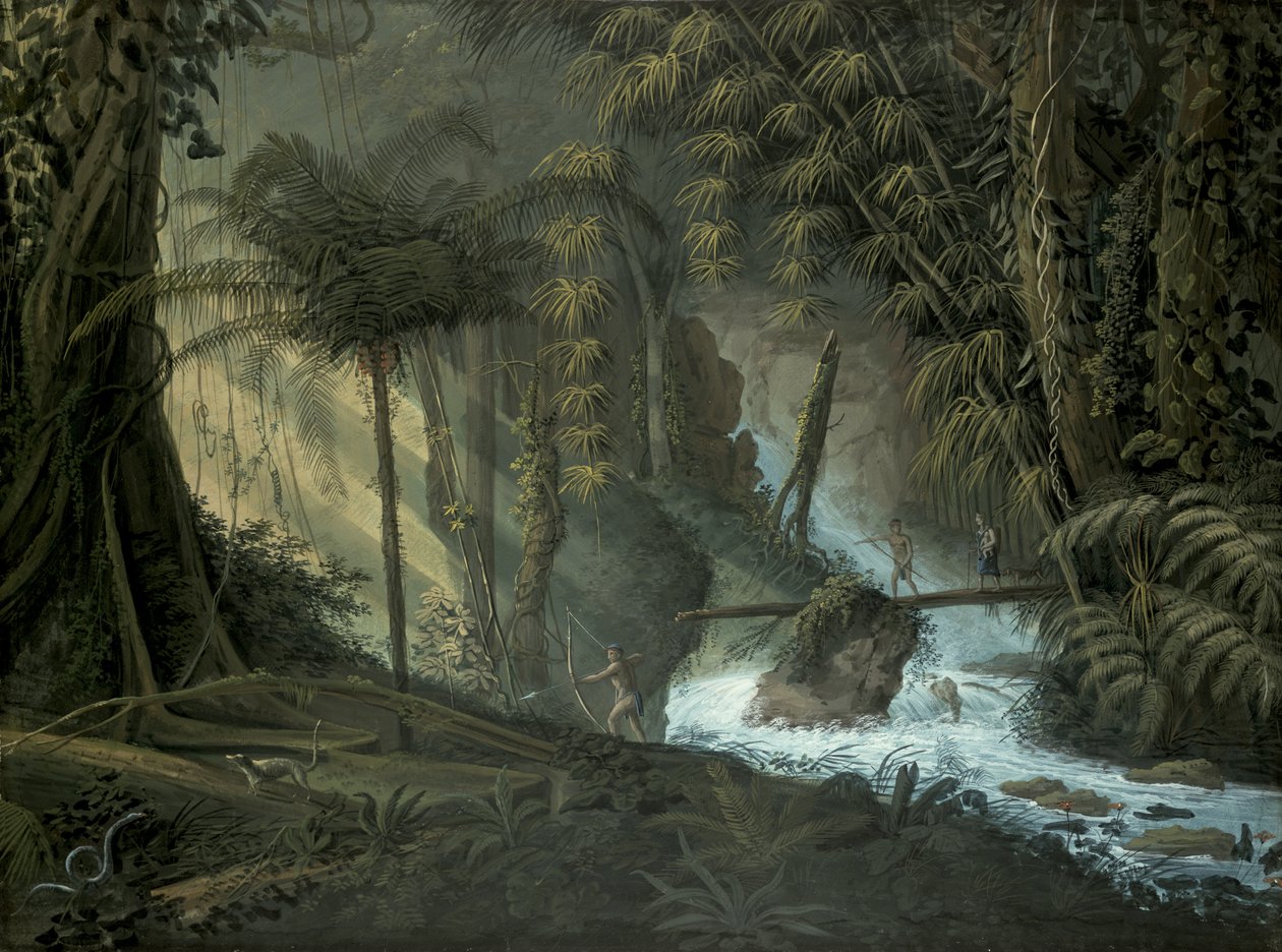 Selva brasileña de Charles Comte de Clarac