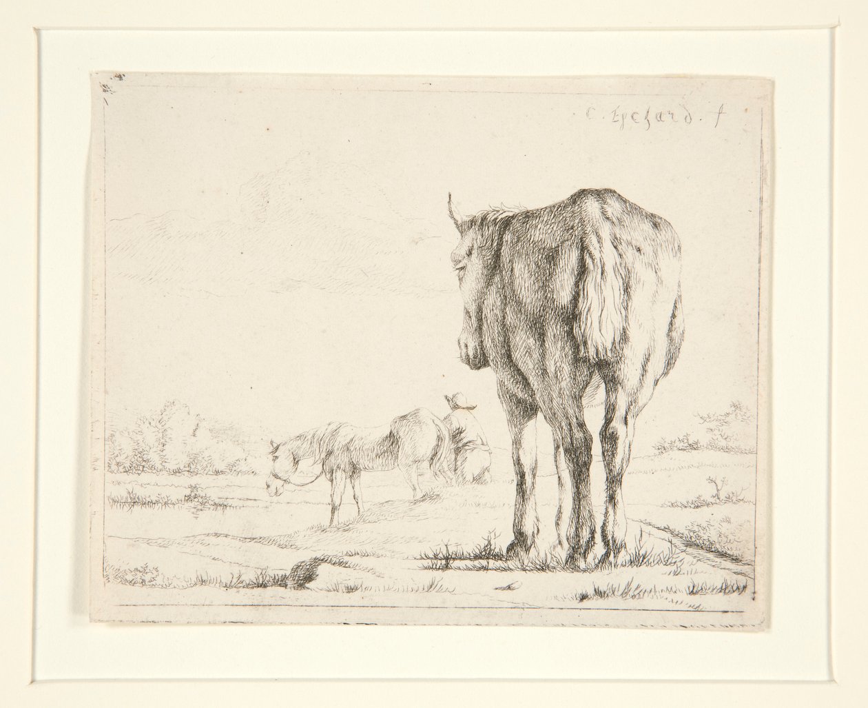 dos caballos pastando de Charles Echard