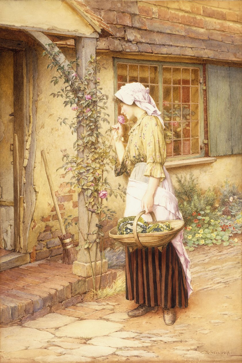 La rosa más dulce de Charles Edward Wilson