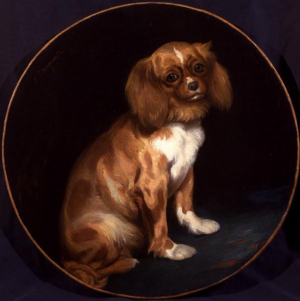 Un Spaniel King Charles de Charles Emile Callande de Champmartin