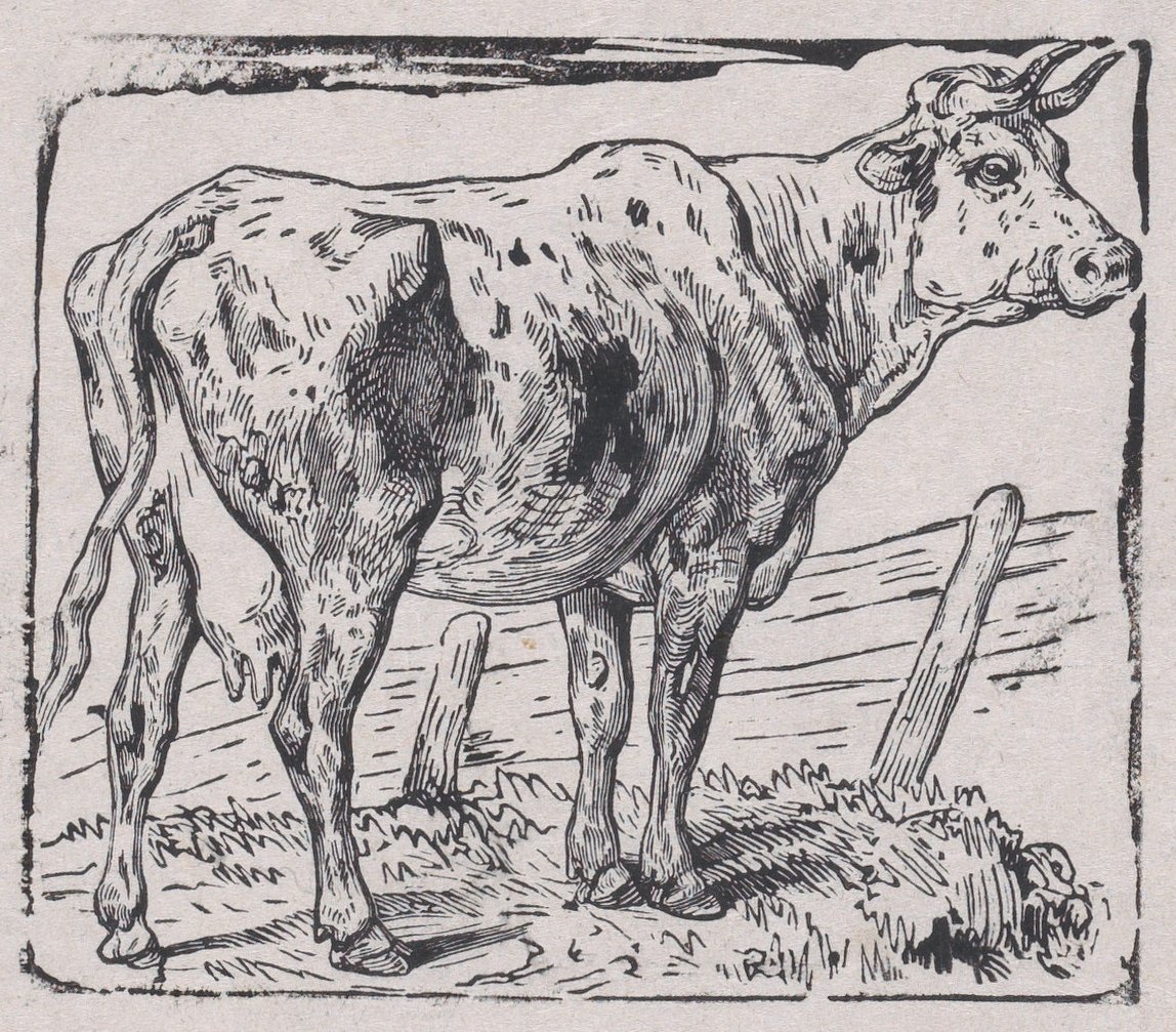 Una vaca de Charles Emile Jacque