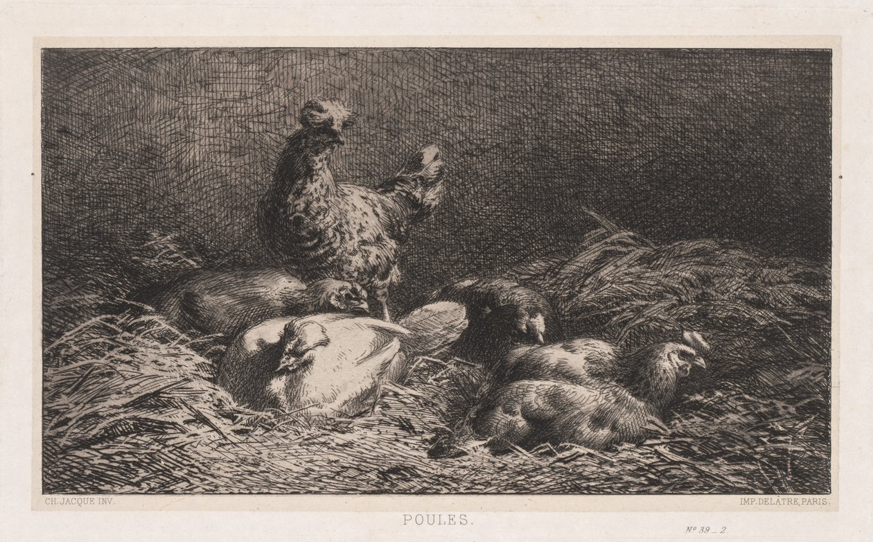 Pollos de Charles Emile Jacque