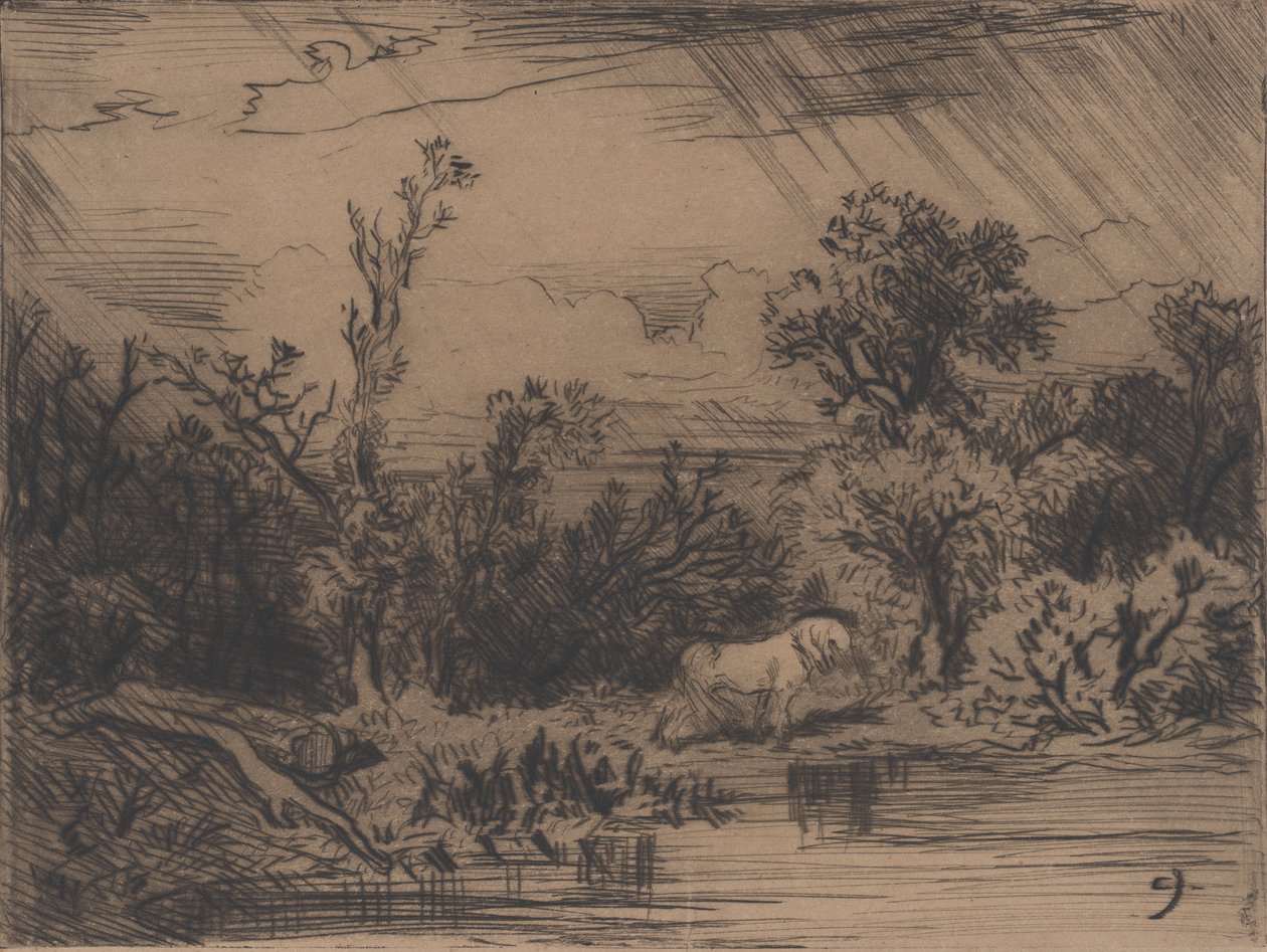 Paisaje con tormenta de Charles Emile Jacque