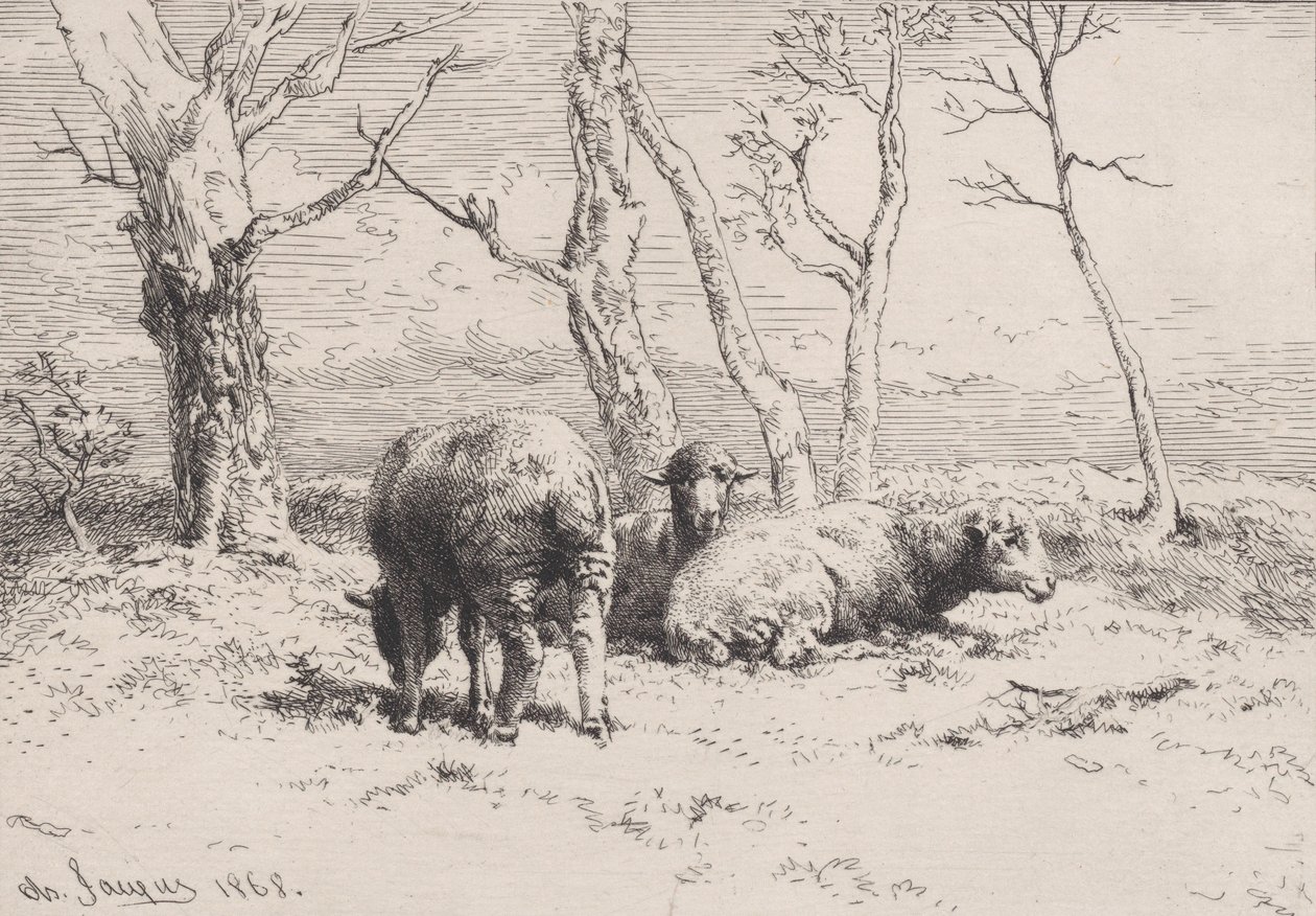 Ovejas, 1868 de Charles Emile Jacque