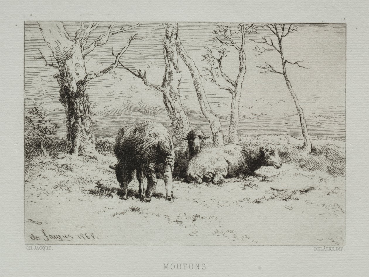 Ovejas, 1868 de Charles Emile Jacque