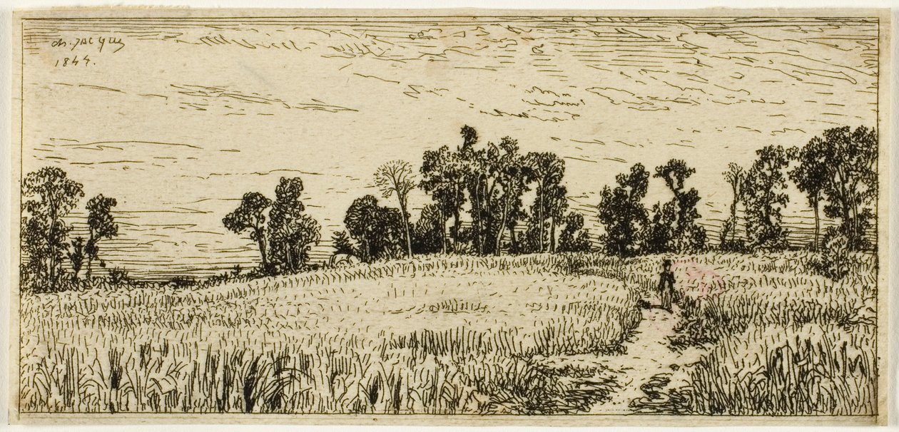 Campo de trigo de Charles Emile Jacque