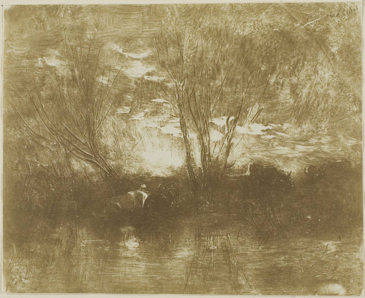 Vacas en el abrevadero de Charles Francois Daubigny