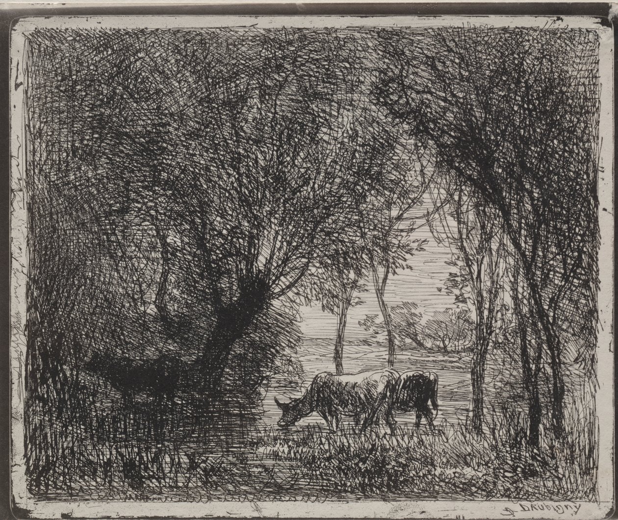 Vacas en el bosque de Charles Francois Daubigny