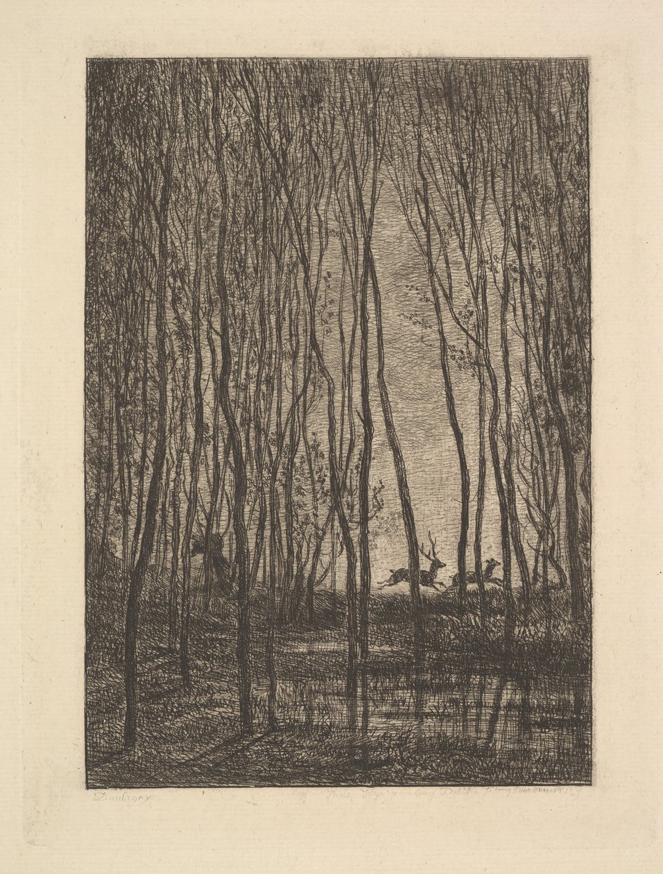 Ciervos en el bosque, 1850 de Charles Francois Daubigny