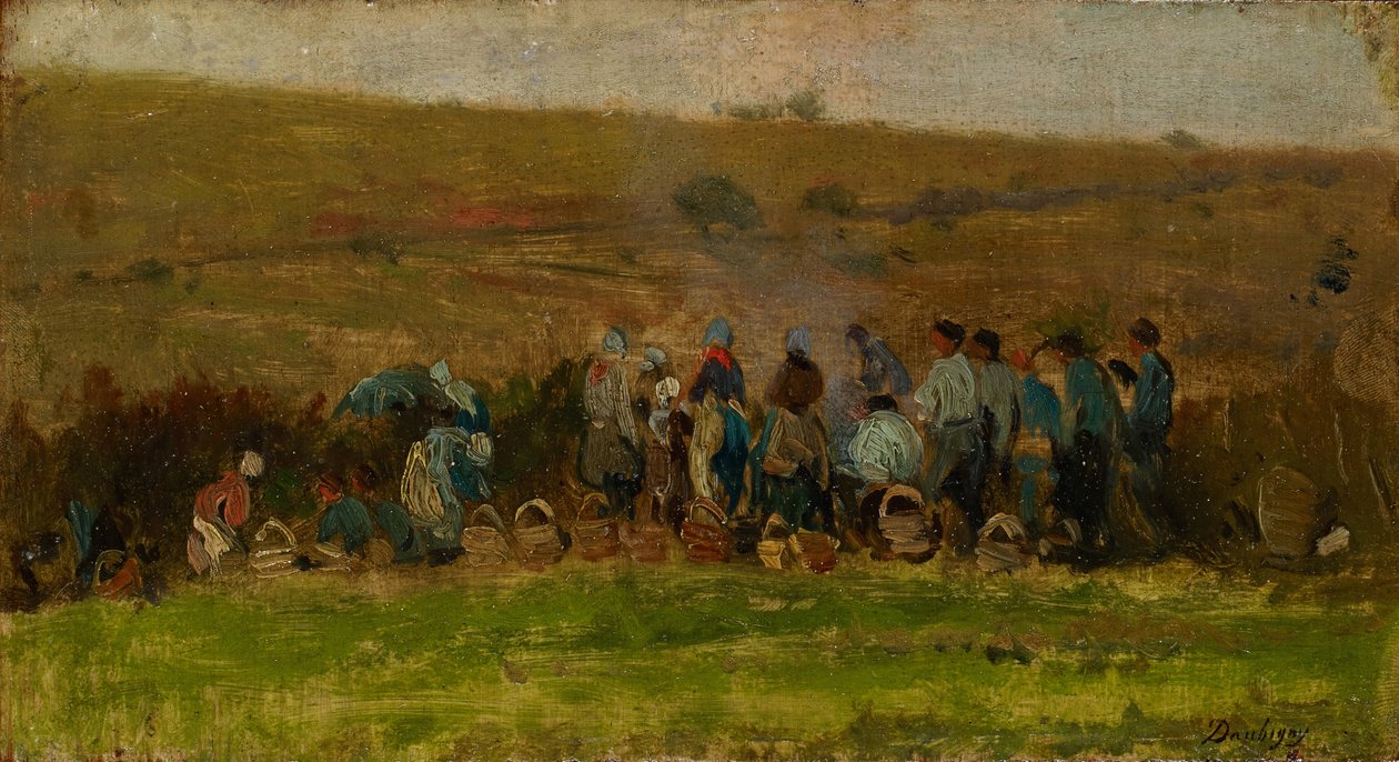 Campesinos cosechando papas de Charles Francois Daubigny