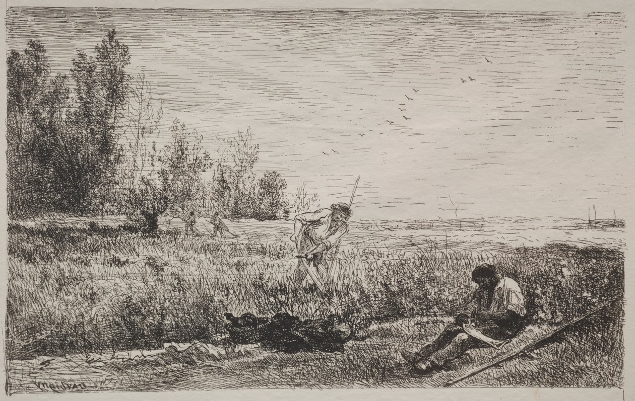 Haciendo heno de Charles Francois Daubigny