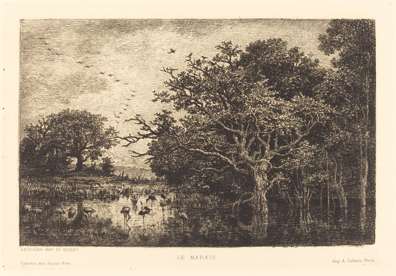 Pantano (Le Marais) de Charles Francois Daubigny