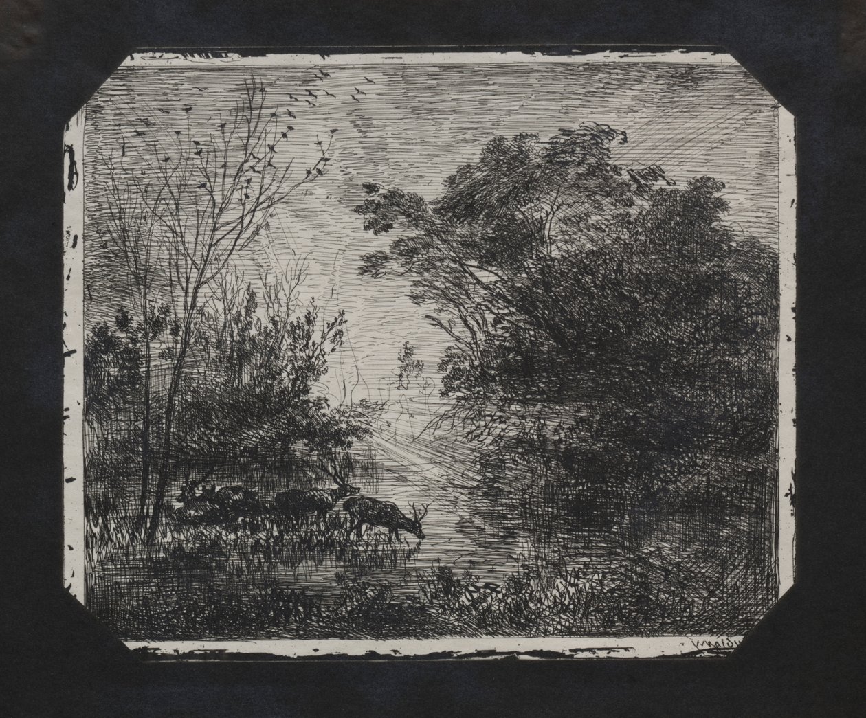 El Ciervo, 1862 de Charles Francois Daubigny