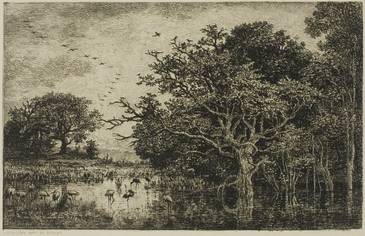 El pantano con cigüeñas de Charles Francois Daubigny