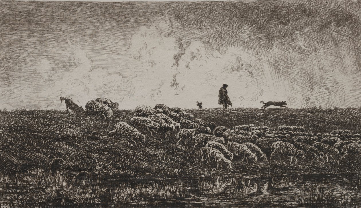 La Lluvia, c. 1851 de Charles Francois Daubigny
