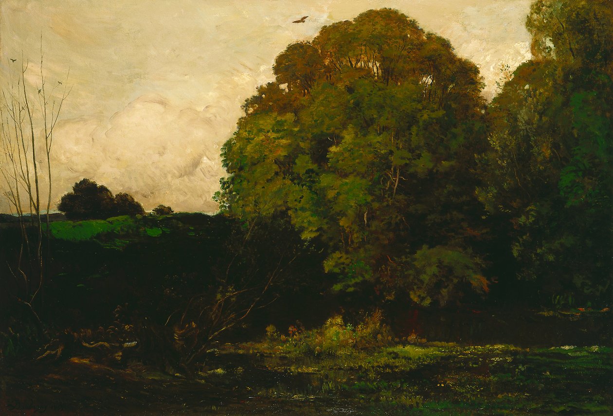 Un estanque en el Morvan de Charles Francois Daubigny