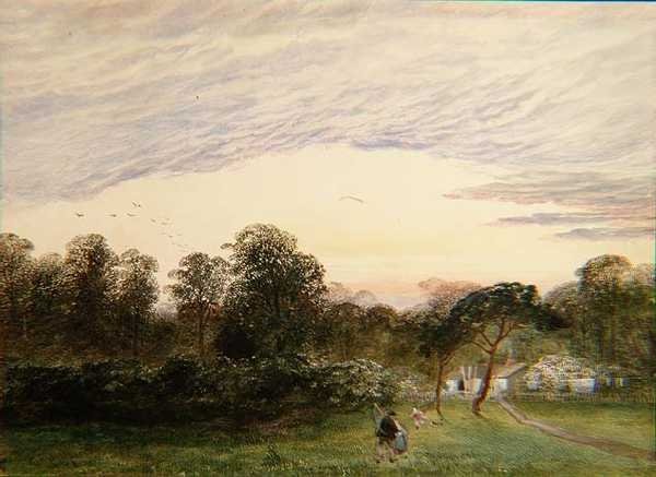 En Bannisters Wood, Southampton de Charles Frederick Williams