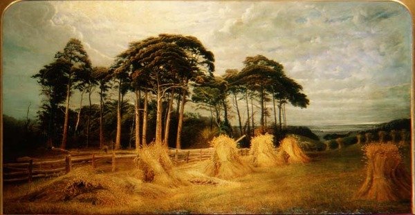 Manojos de trigo después de la cosecha de Charles Henry Passey