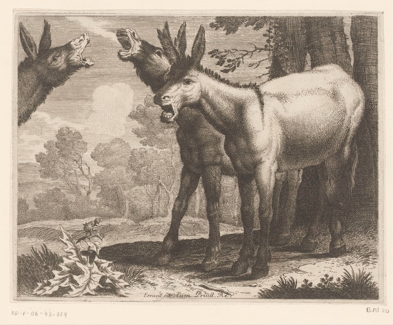 Burros balbuceantes
Serie de animales (título de la serie) de Charles II Errard (attributed to)