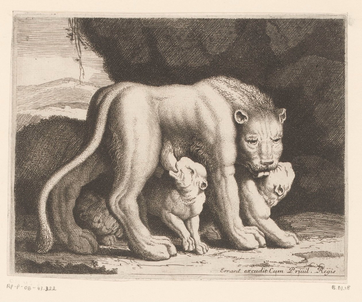 leona lactante Serie de animales (título de la serie) de Charles II Errard (attributed to)