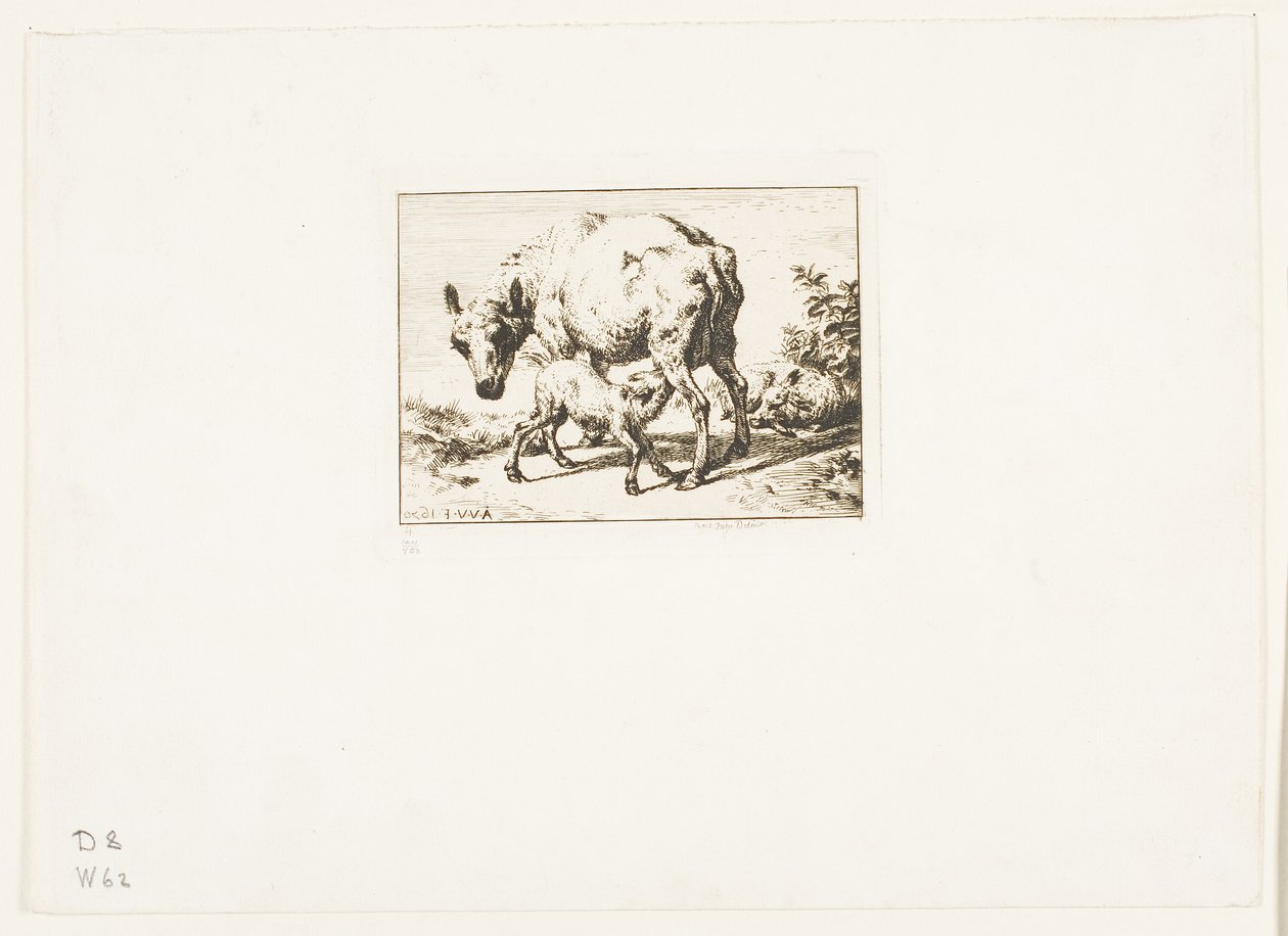 La oveja con dos corderos de Charles Meryon