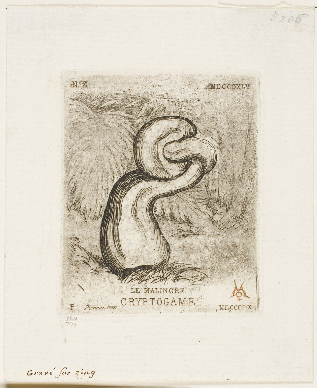 El criptógamo enfermizo de Charles Meryon