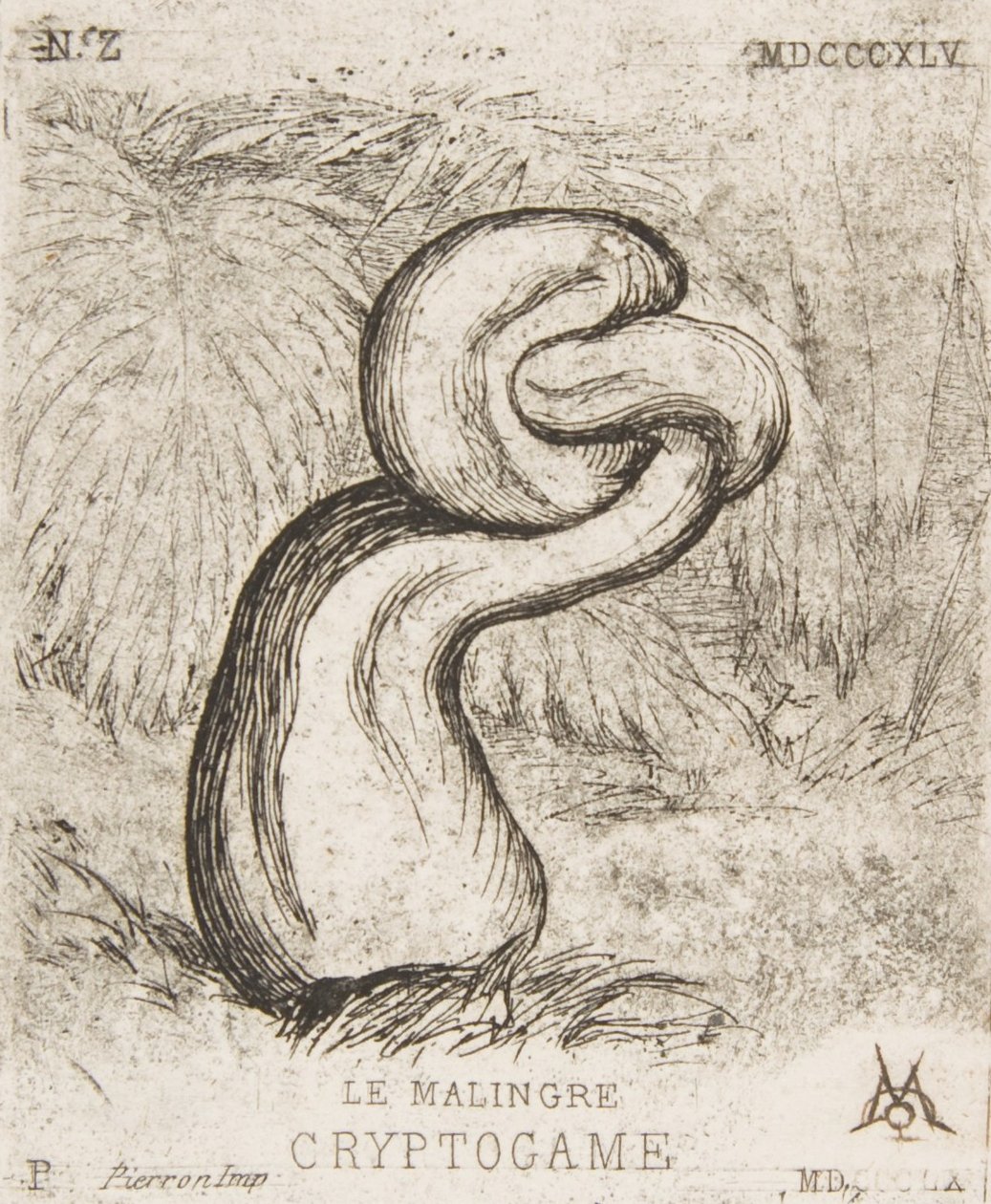 La pequeña criptogamia, 1860 de Charles Meryon