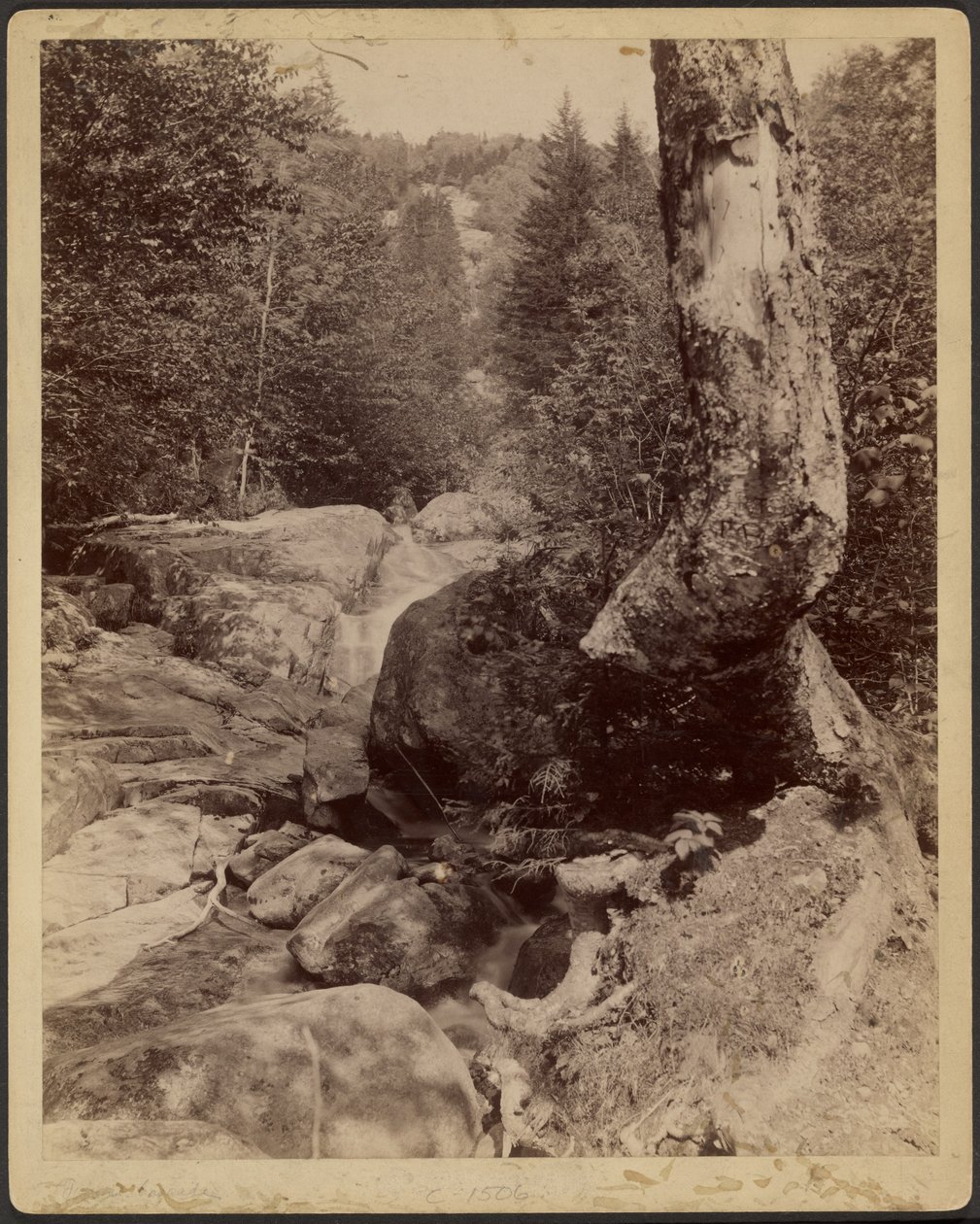 [Arroyo en cascada] de Charles P. Hibbard