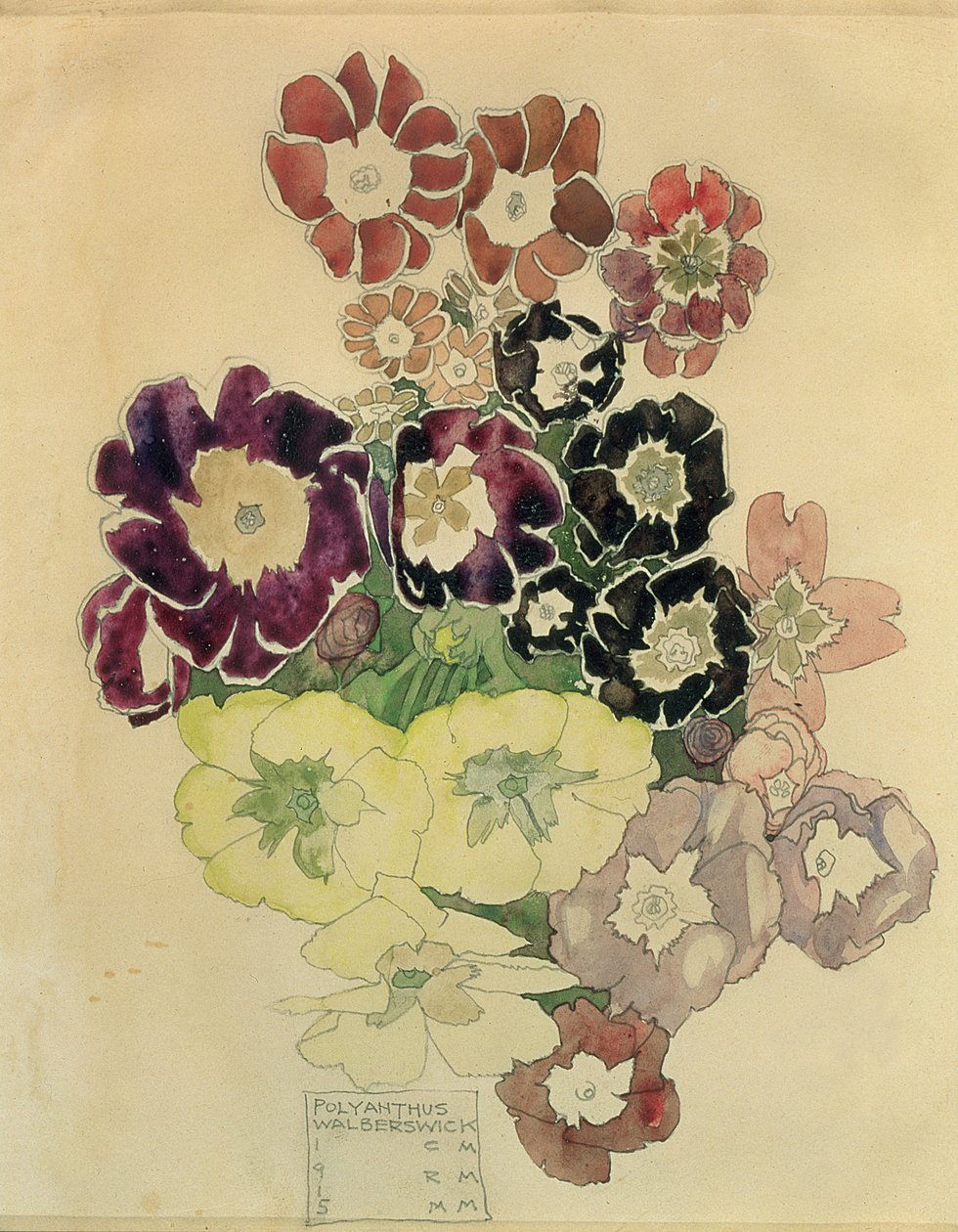 Polyanthus, Walberswick, 1915 de Charles Rennie Mackintosh