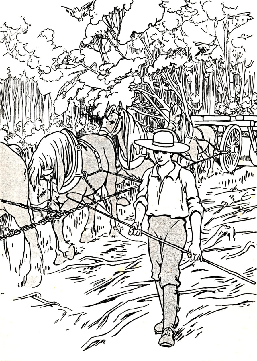 Un colono despejando su tierra, 1912 de Charles Robinson