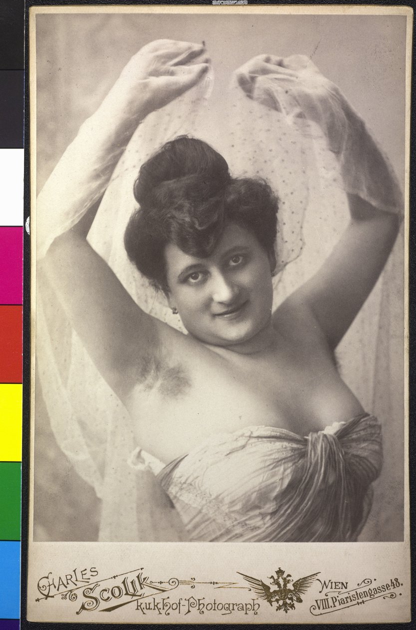 Retrato de una dama de Charles Scolik