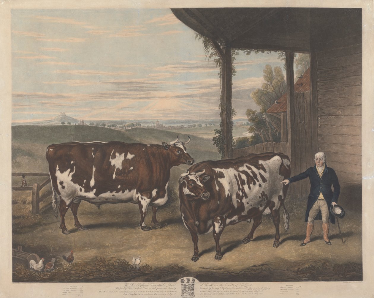 Dos bueyes de Durham de Charles Turner