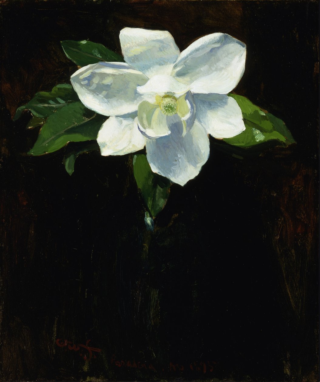 Magnolia de Charles Walter Stetson