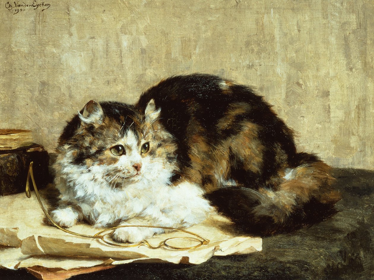 un gato atigrado de Charles van den Eycken
