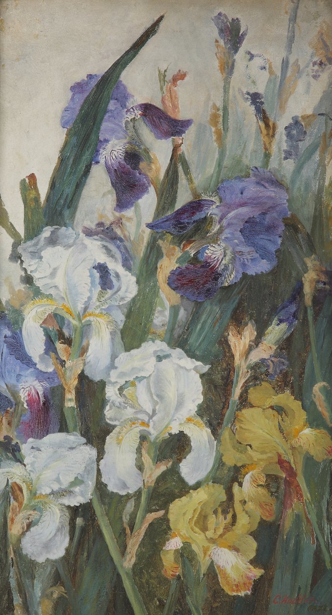 Iris, 1882 de Charlotte Hodder