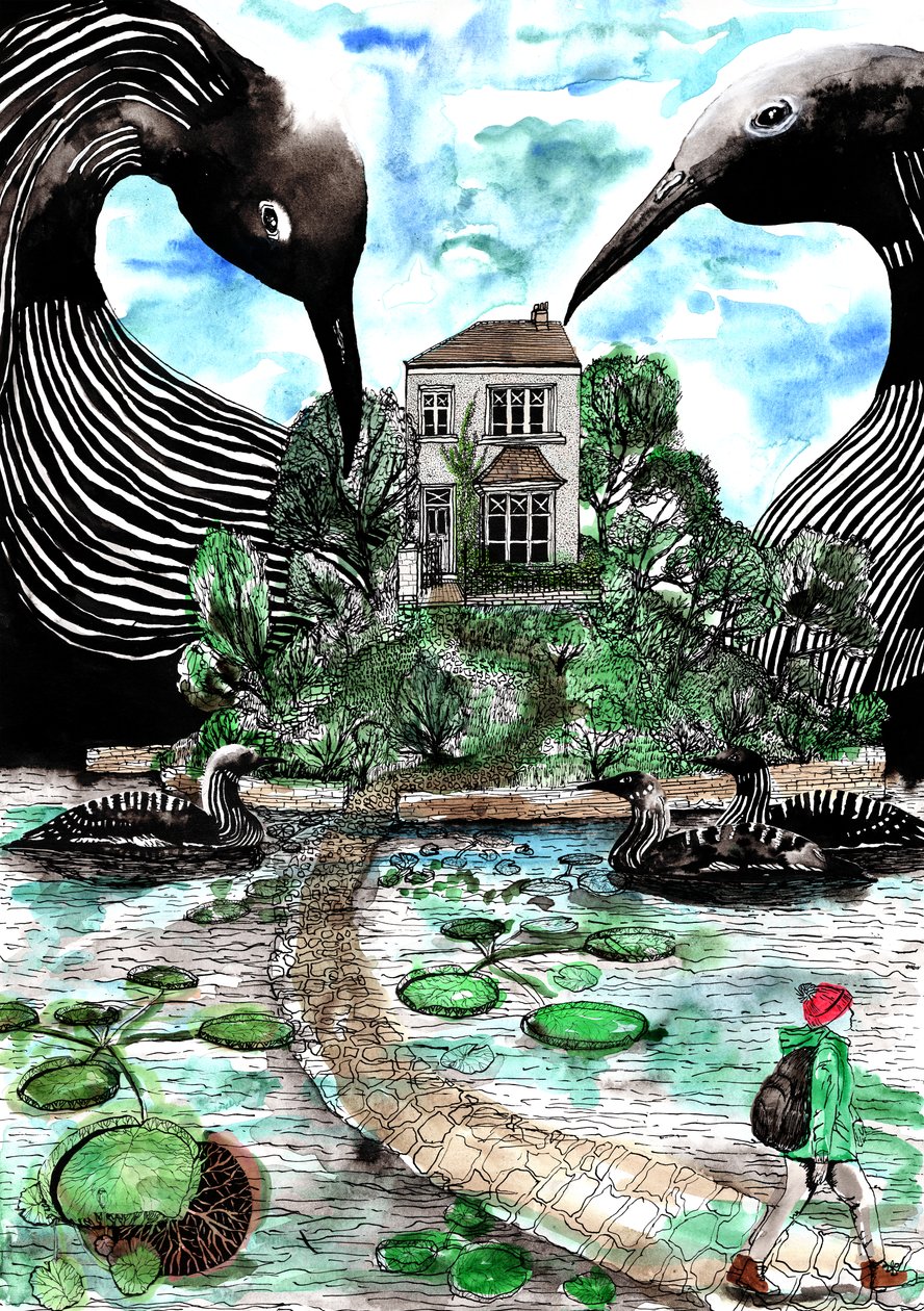 Ataque de los Patos de Charlotte Orr