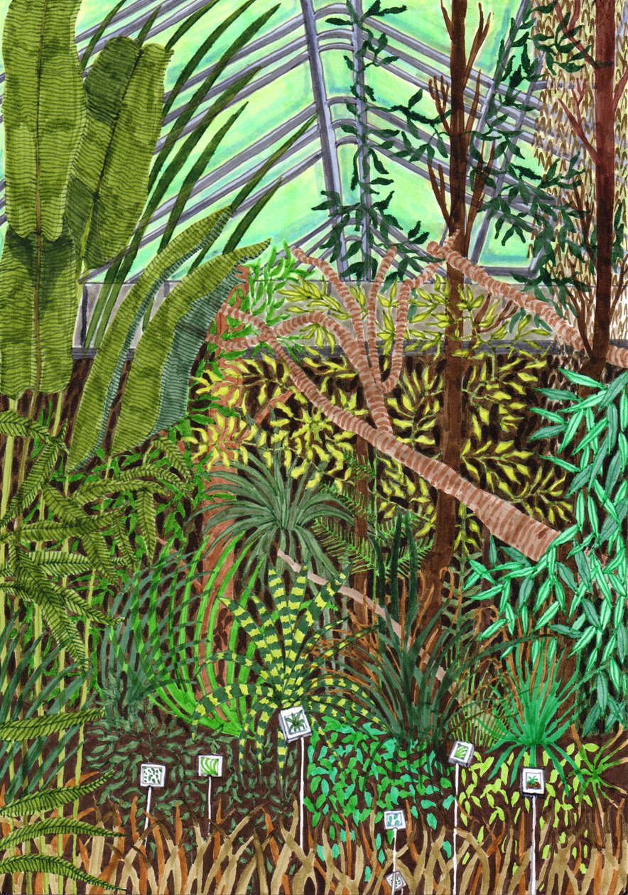 Jardín Botánico de Charlotte Orr