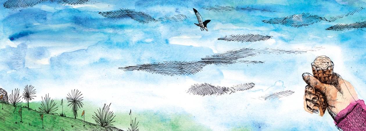 El cuento de la gaviota de Charlotte Orr