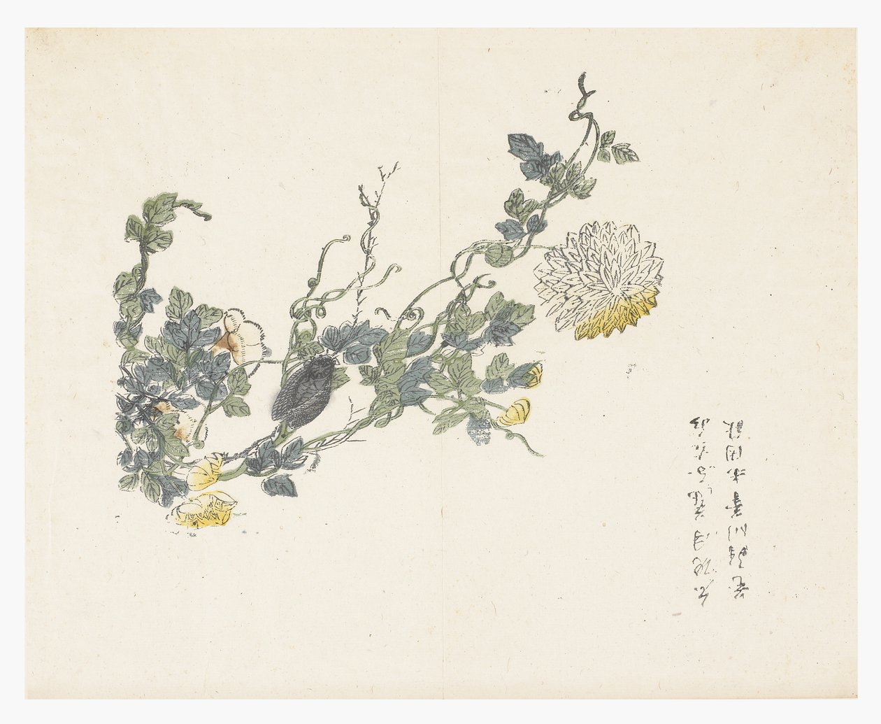 Jardín de semillas de mostaza de Chen Chung Jan (after)