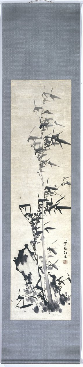 Bambú de Chiang Ting