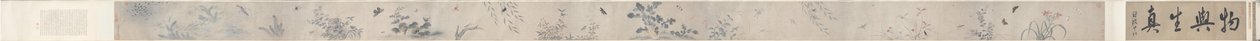 Insectos y flores de China, Qing dynasty