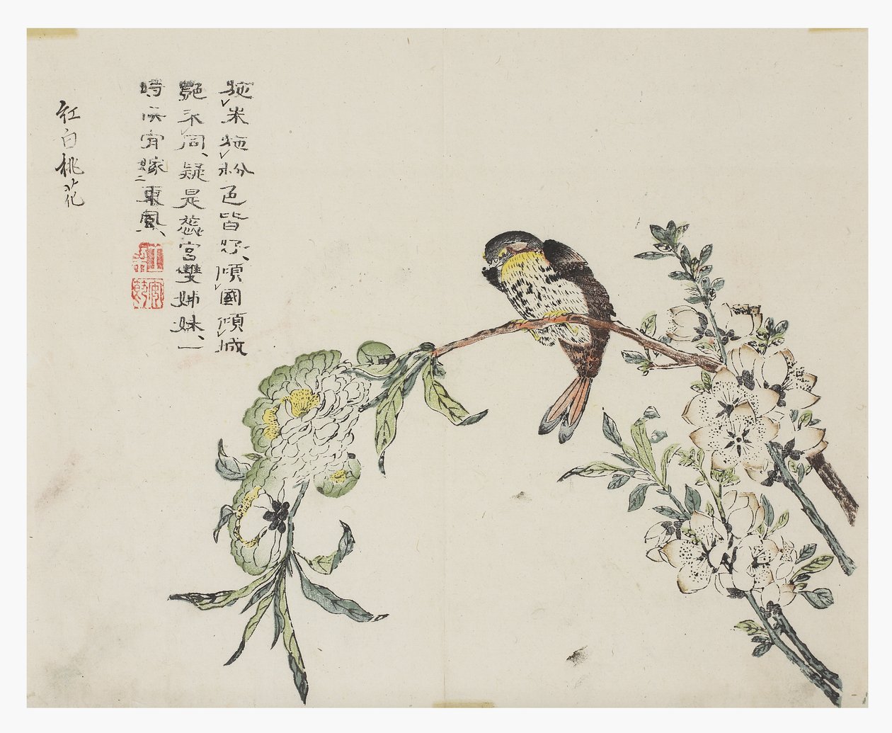 Jardín de Semillas de Mostaza de Chinese School