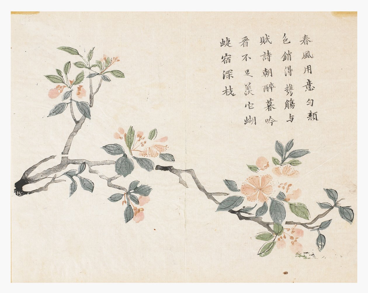 Jardín de la semilla de mostaza de Chinese School