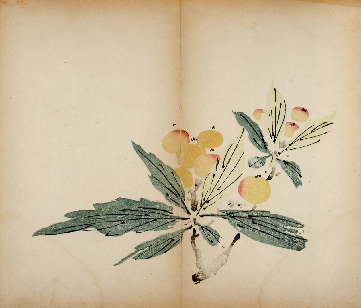 Impresiones del Estudio de los Diez Bambúes, 1643 de Chinese School