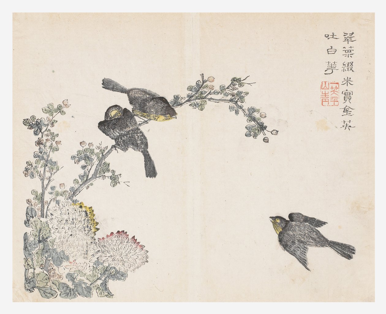 Jardín de semillas de mostaza de Ching yu Chiu