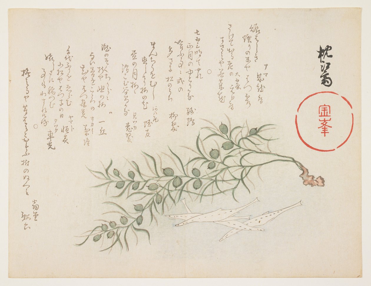 Peces Blancos Pequeños y Algas, c.1854-59 de Chinksai