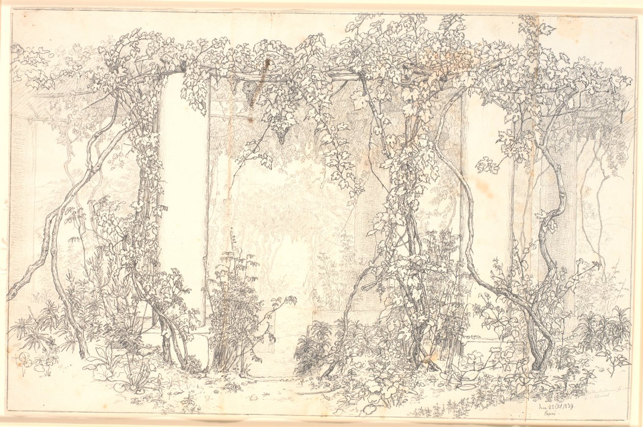 Estudio de una pérgola en Capri de Christen Købke