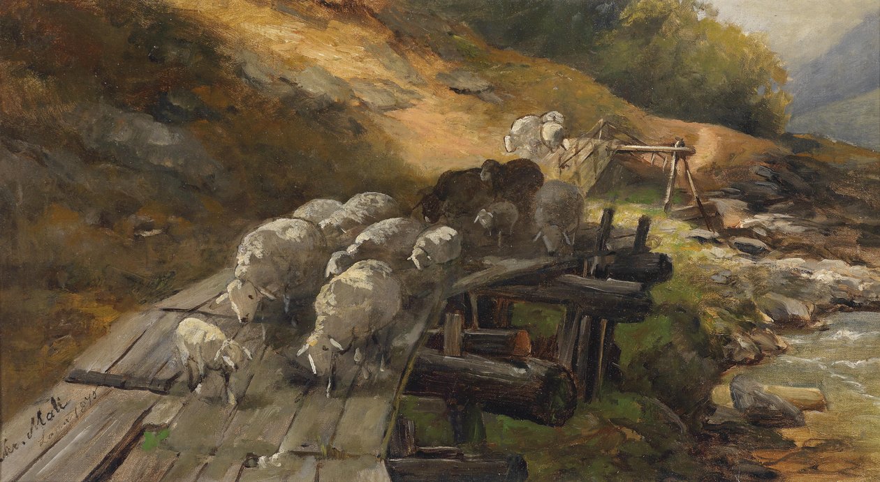 Ovejas cruzando un río de Christian Mali